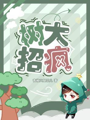 树大招风深度解析