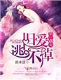 第一前妻