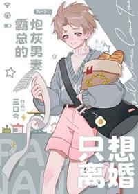 霸总的炮灰男妻只想离婚+番外