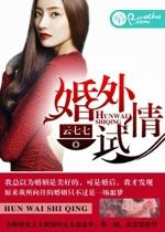 婚外试情 第8章
