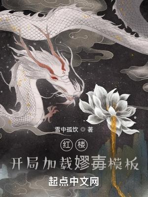 红楼开局加载嫪毐模板 第603章