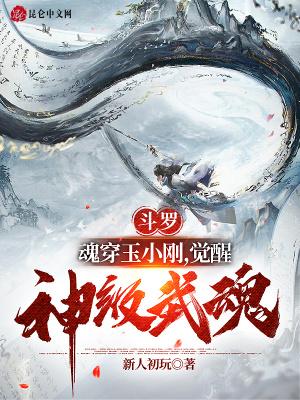 穿越斗罗之玉小刚