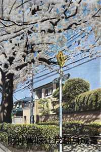 财神