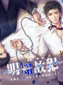 明知故犯歌曲