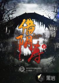 借阴寿境界划分