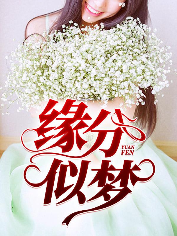 缘分似梦阅读全文