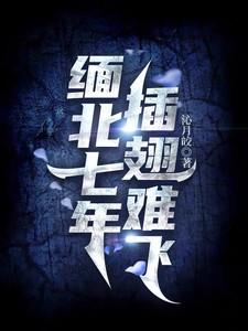 缅北七年