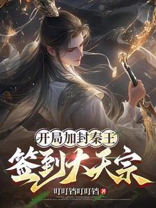 开局加封秦王签到大天宗