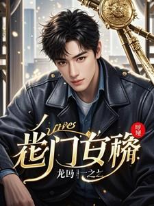 上门女婿龙婿叶辰全文阅读完整版